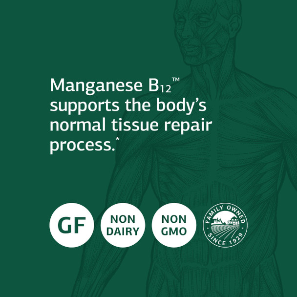 Standard Process Manganese B12 - Whole Food Hemoglobin And Antioxidant With Manganese, Organic Carrot, Maltodextrin, Copper