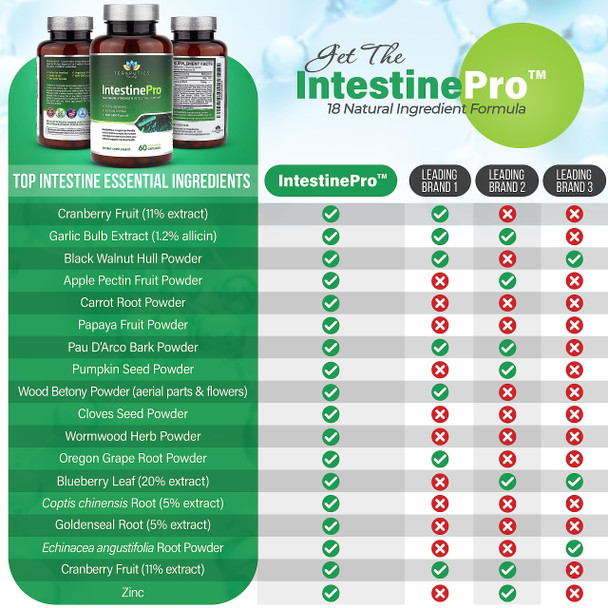 Intestinepro Intestine Support For Humans With Non-Gmo Wormwood, Black Walnut, Echinacea + 15 More Premium Ingredients, 60 Vegeta