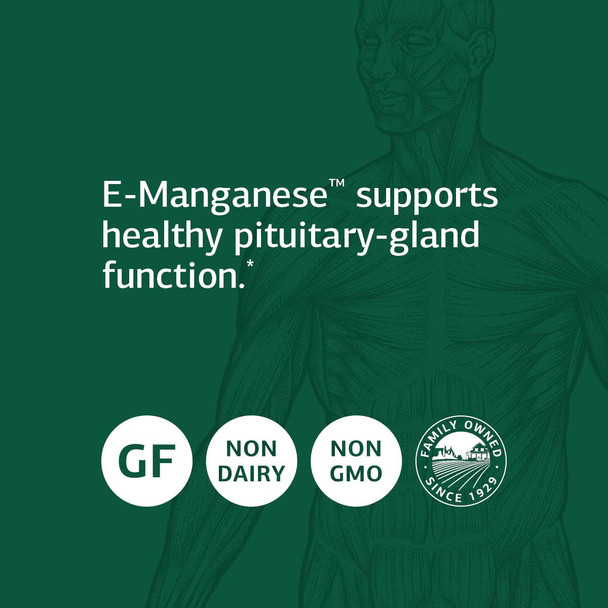 Standard Process E-Manganese - Pituitary Supplements - Pituitary Gland Supplements With Calcium Lactate, Ascorbic Acid, Calcium