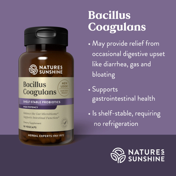 Nature'S Sunshine Nutribiome Bacillus Coagulans Probiotics, 90 Capsules | 3 Billion Cfu Of Bacillus Coagulans Probiotic Helps