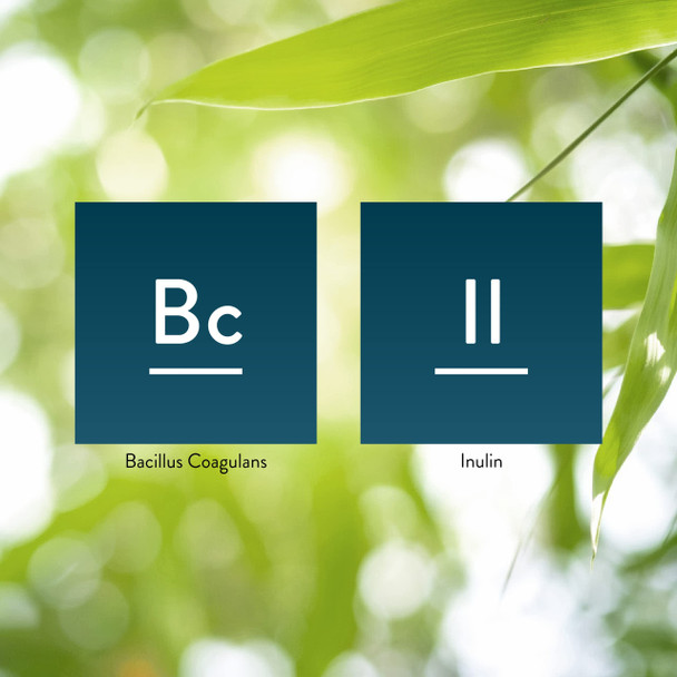 NatureS Sunshine Nutribiome Bacillus Coagulans Probiotics 90 Capsules