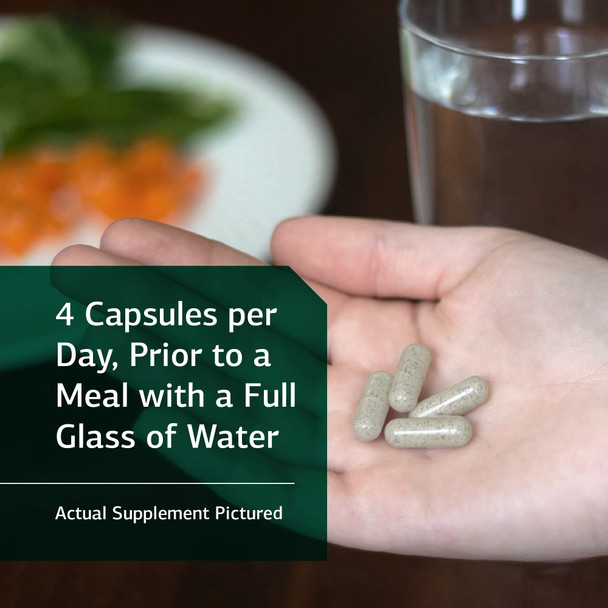 Standard Process - Gi Adsorb For Gastrointestinal Health And Elimination - Calcium, Iron, Clinoptilolite, Chlorella, Collinsonia