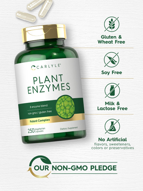 Carlyle Plant Enzymes With Protease, Papain, Lactase And Bromelain | 250 Capsules | Multi Enzyme Blend | Non-Gmo & Gluten Free