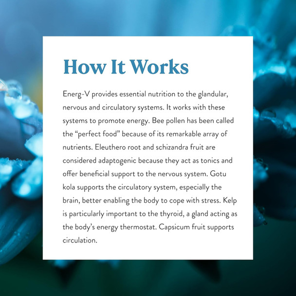 Nature'S Sunshine Energ-V 100 Capsules