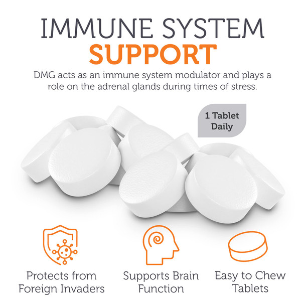 Zahler Dmg 500Mg - Dmg Dimethylglycine Supplement For Endurance & Immune System Support - Dmg Supplements With Amino Acid Glycine