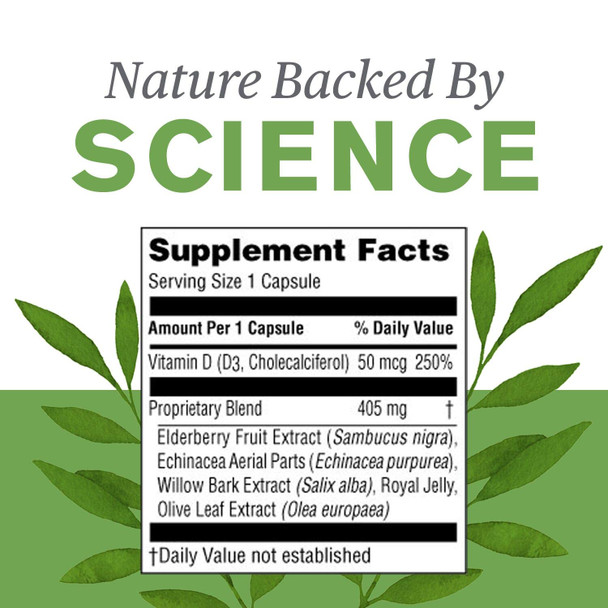 Nature'S Sunshine Elderberry D3Fense, 90 Capsules | Elderberry Supplement With Powerful Vitamin D, Sambucus Elderberry And Echina