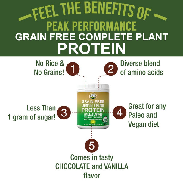 Organic Paleo Grain Free Plant Based Protein Powder. Complete Raw Organic Vegan Protein Powder. Amazing Amino Acid Profile