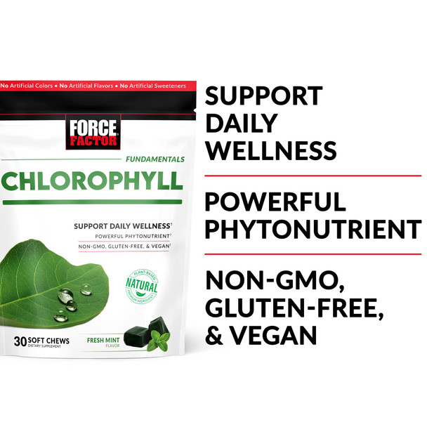 Force Factor Chlorophyll Soft Chews Antioxidants Supplement to Reduce Body Odor, Promote Fresh Breath, and Nourish Healthy Skin, Non-GMO, Gluten-Free, and Vegan, Fresh Mint Flavor, 60 Soft Chews