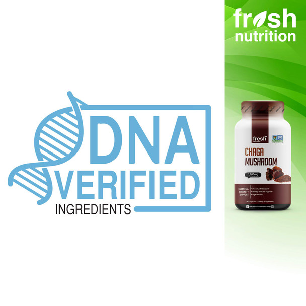 Organic Chaga Mushrooms  Strongest DNA Verified 1650mg   High in Fiber  Non GMO, Gluten & Soy Free, Vegan Friendly