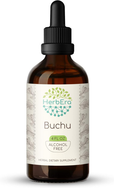 Buchu B120 Alcohol-Free Herbal Extract Tincture, Concentrated Liquid Drops Natural Buchu (Agathosma Betulina) Dried Leaf (4 fl oz)