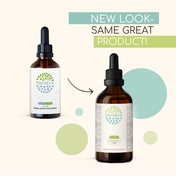 Buchu B120 Alcohol-Free Herbal Extract Tincture, Concentrated Liquid Drops Natural Buchu (Agathosma Betulina) Dried Leaf (4 fl oz)