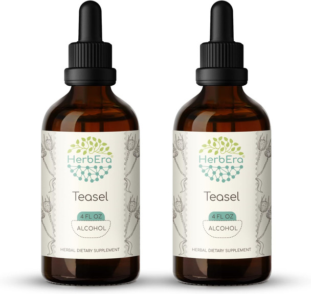 Teasel A120(2pcs) Alcohol Herbal Extract Tincture, Concentrated Liquid Drops Natural Teasel (Dipsacus fullonum, Dipsacus sylvestris) Dried Root (2x4 fl oz)