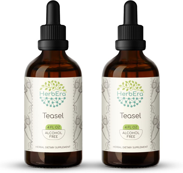 Teasel B120(2pcs) Alcohol-Free Herbal Extract Tincture, Concentrated Liquid Drops Natural Teasel (Dipsacus fullonum, Dipsacus sylvestris) Dried Root (2x4 fl oz)