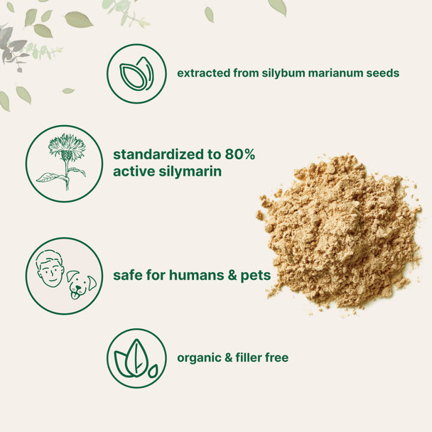 Organic Milk Thistle Extract, 3.5 Ounces, Pure Milk Thistle Powder Organic, Milk Thistle Tea, Contains 80% Active Silymarin, Strongly Supports Liver Health and Antioxidant, Vegan Friendly