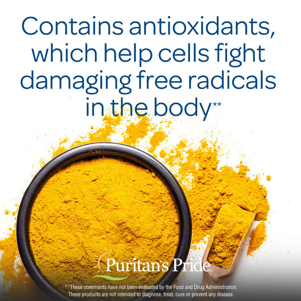 Puritan's Pride Turmeric Curcumin 500 Mg Contains Antioxidants, 180 Count (Pack of 2), Total 360 Count
