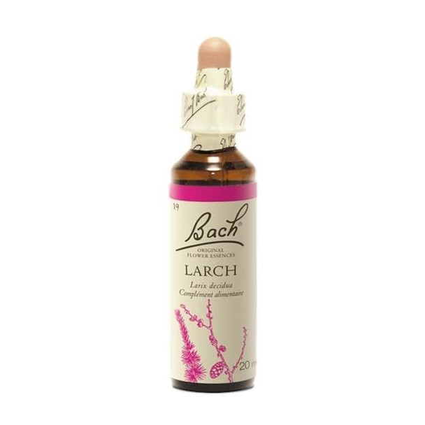 Larch ( Meleze )