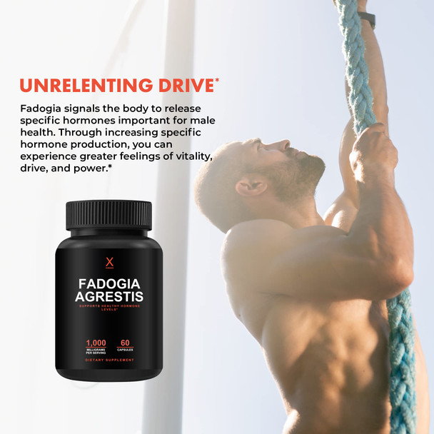 HUMANX Fadogia Agrestis 1000mg  - Powerful Extract to Support Athletic Performance & Muscle Mass - Non GMO, Vegan,  Supplement - Easy to Swallow Veggie Capsules