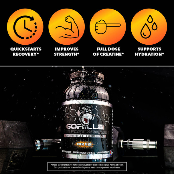 Gorilla Mode Post-Workout Formula - Enhanced Recovery After Your Workout/Help Relieve Soreness, Revitalize Your Body / 1312 Grams ( Punch)