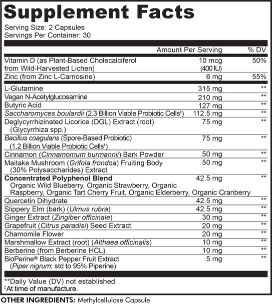 Codeage Leaky Gut, L-Glutamine for Gut Health Support, N-Acetylglucosamine Supplement, Probiotic, Butyric , Polyphenols, Quercetin, DGL, Berberine, BioPerine, Cinnamon, Vegan, Non-GMO, 60 Capsules