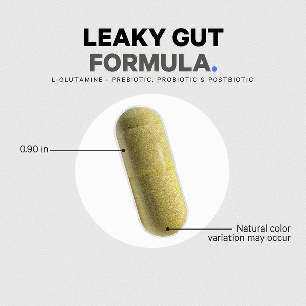 Codeage Leaky Gut, L-Glutamine for Gut Health Support, N-Acetylglucosamine Supplement, Probiotic, Butyric , Polyphenols, Quercetin, DGL, Berberine, BioPerine, Cinnamon, Vegan, Non-GMO, 60 Capsules