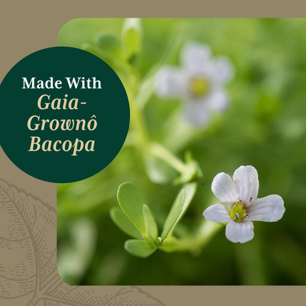 Gaia PRO Bacopa - Herbal Nootropic Working Memory Supplement for Brain Function- with Organic Bacopa - 60 Vegan Liquid Phyto-Capsules (60 Servings)