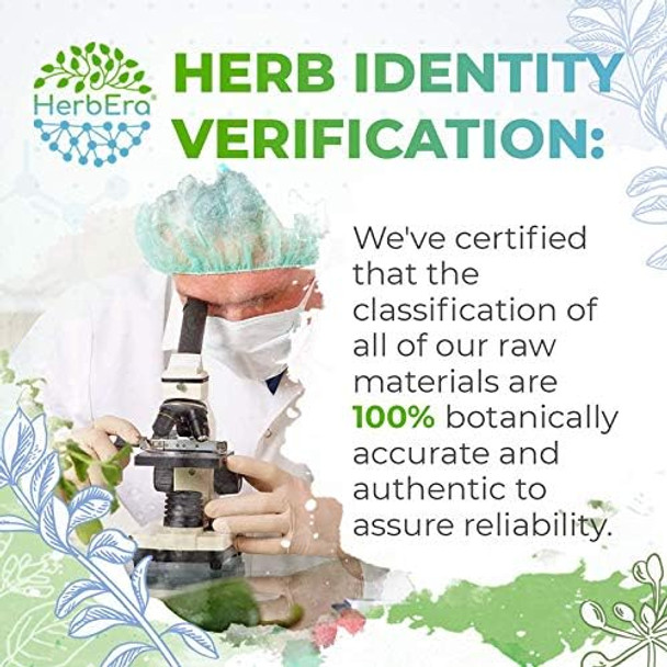 HerbEra Burdock 120 Capsules, 500 mg, Made with Burdock (Arctium Lappa) Dried  Root (120 Capsules)