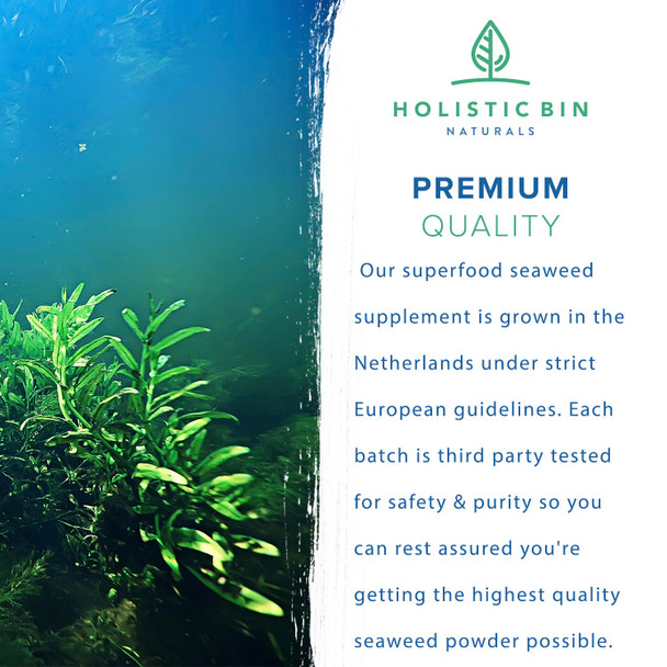 Holistic Bin Marine Phytoplankton Capsules ly Grown in Nordic Seawater | Vegan Omega 3 Supplement | Rich in Amino s, Chlorophyll, Vitamins, & Trace Minerals