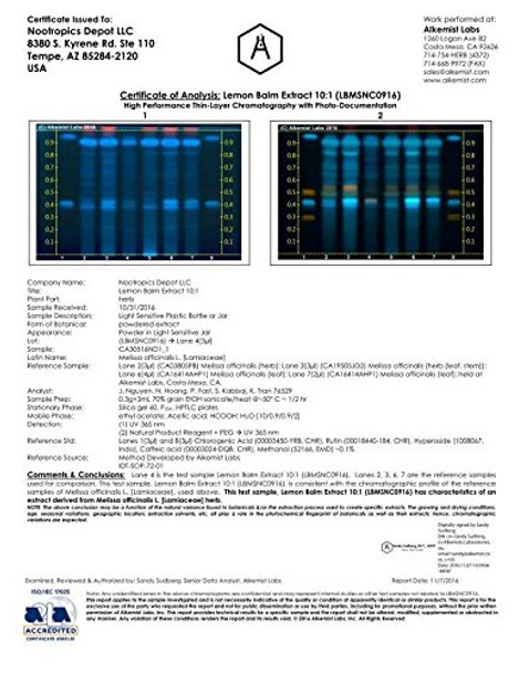 Lemon Balm Extract Powder 250 Grams | Support Healthy  Levels | Enhance Mood, Focus and Sleep