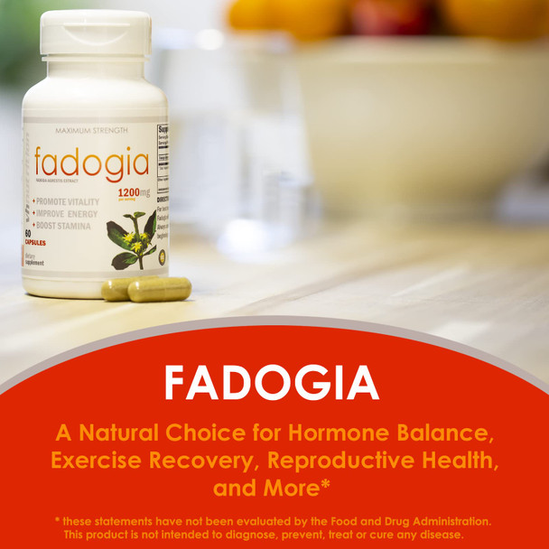 VH Nutrition FADOGIA AGRESTIS | 1200mg  | Mens Hormonal Support | 60 Capsules