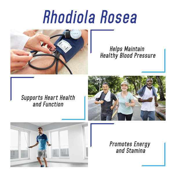 We Like Vitamins Rhodiola Rosea Capsules 900mg (, 90 Servings) -180 Capsules Rhodiola Supplement Root Extract Helps Support Energy, Mood, Focus, and  Levels ly*