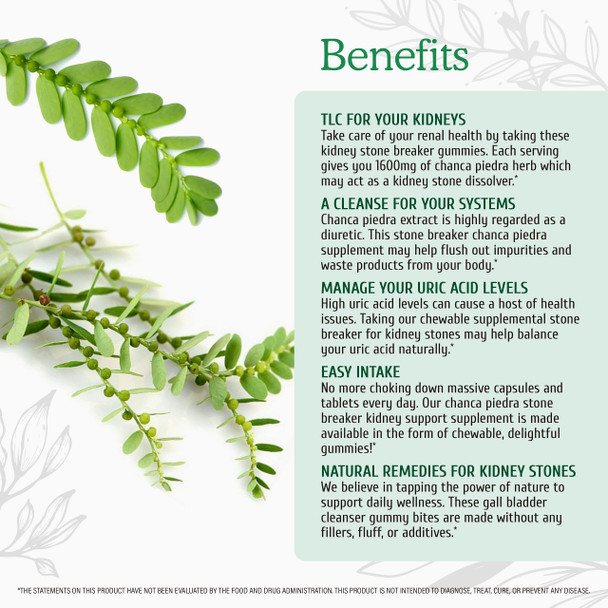 Wild & Organic Stone Breaker Gummies -  Chanca Piedra Chewable Health Supplement for Gallbladder Support - May Help with Liver, Kidney, Urinary Tract Cleanse - Vegan, Gluten-Free - 60 Count