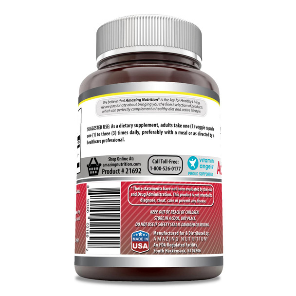 Amazing Formulas Acetyl L-Carnitine Hcl 500 Mg 120 Veggie Capsules Supplement | Non-Gmo | Gluten Free | Made In Usa | Suitable For Vegetarians