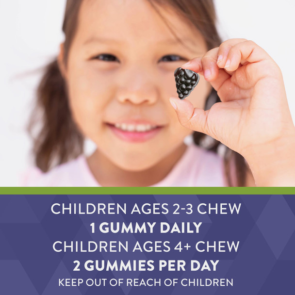 Nature'S Way Sambucus Elderberry Immune Gummies For Kids, Immune Support Gummies*, With Black Elderberry Extract, Vitamin C And Zinc, 60 Gummies (Packaging May Vary)
