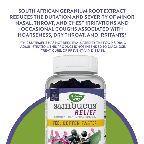Nature'S Way Sambucus Relief Gummies With Elderberry, Vitamin C, Zinc And South African Geranium, Immune Support*, 60 Gummies