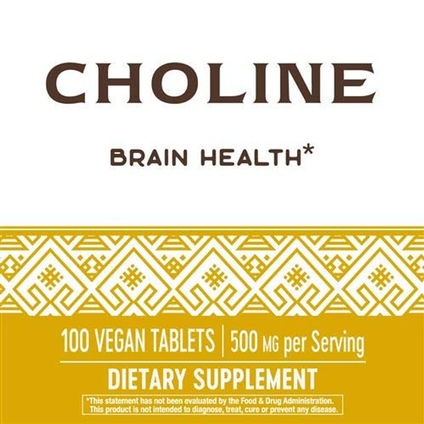 Nature'S Way Choline, 500 Mg, 100 Tablets, Pack Of 2