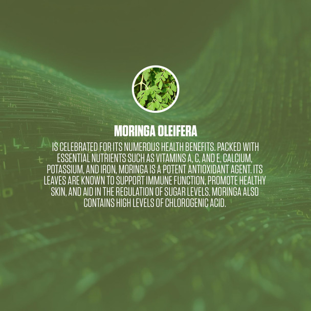 EPN Supplements Moringa Oleifera | #1 Moringa Superfood Supplement Pills To Improve Mood, Increase Energy, Boost Immune System + Rich In Antioxidants | For Men & Women (Vegan, Gluten Free) - 60 Capsules