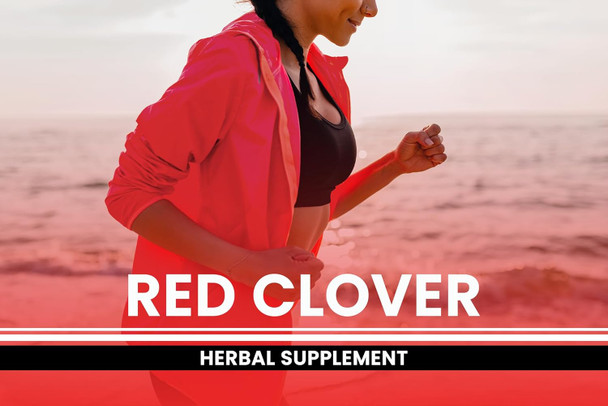 PURE ORIGINAL INGREDIENTS Red Clover (365 Capsules) No Magnesium Or Rice Fillers, Always Pure, Lab Verified