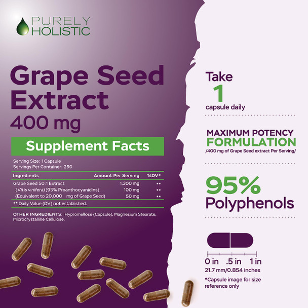 Purely Holistic Grape Seed Extract 400Mg + Vitamin C 1000Mg Time Release Bundle - 615 Vegan Capsules - Made In Usa