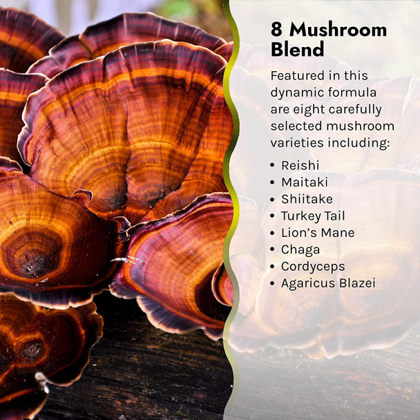 ‎Irwin Naturals Pure Defense Mushroom-8 Powerful & Robust Immune Support Supplement With 8 Organic Mushroom Blend, Vitamin C & D3, Ecea & Black Elderberry - 60 Liquid Softgels With Pill Case