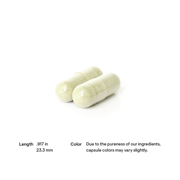 Thorne Boswellia Phytosome 60 Capsules