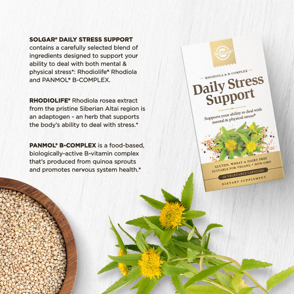 Solgar Daily Stress Support 60 Vegetable Capsules - Build Resistance To Stress & Mental Fatigue - Support Ability To Stay Calm - Contains Clinically-Studied Rhodiola & B-Complex Non-Gmo 60 Servings