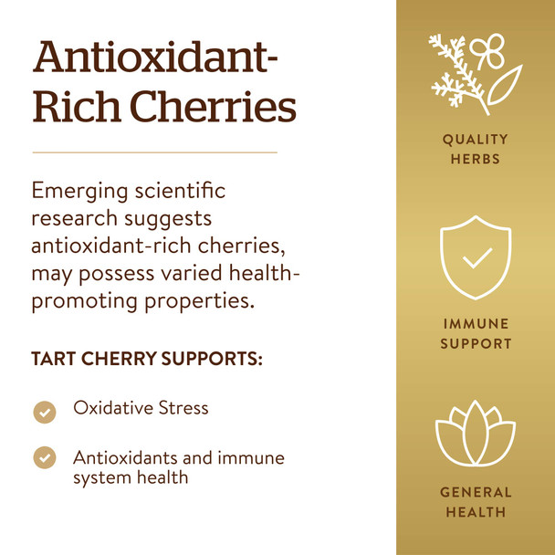 Solgar Tart Cherry 1000 Mg 90 Vegetable Capsules - Antioxidant With Quercetin Chlorogenic Acid & Anthocyanins Compounds - Non Gmo Vegan Gluten Free Dairy Free - 90 Servings