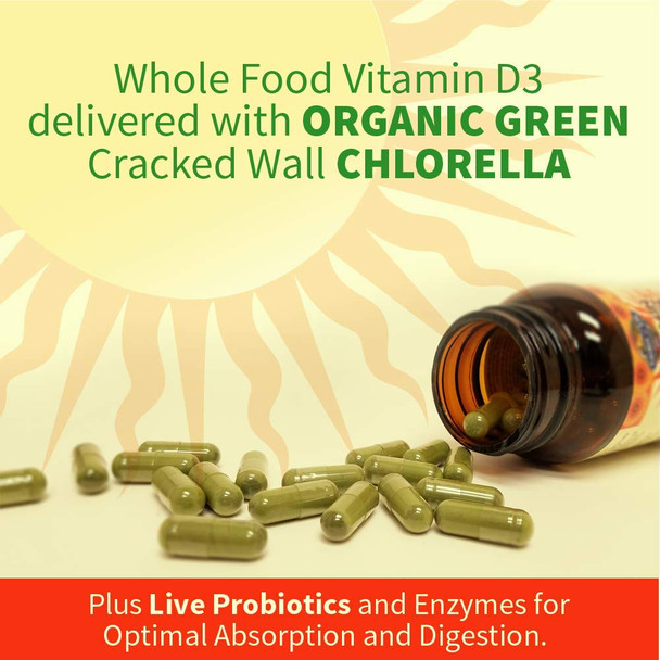 Garden of Life Vitamin D Vitamin Code Raw D3 Vitamin D 5 000 Iu Raw Whole Food Vitamin D Supplements With Chlorella Fruit Veggies & Probiotics For Bone & Immune Health. 60 Vegetarian Capsules