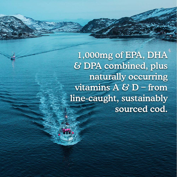 Garden of Life Dr. Formulated Alaskan Cod Liver Oil - Lemon Flavor 80 Servings - 1000 Mg Omega 3S (Epa Dha & Dpa) + Vitamins A & D Non-Gmo Sustainably Sourced & Line-Caught 400Ml (13.52 Fl Oz)