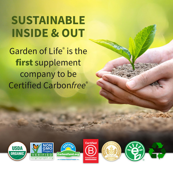 Garden of Life Organic Plant Protein Smooth Chocolate Powder 10 Servings - Vegan Grain Free & Gluten Free Plant Based Protein Shake With 1 Billion Cfu Probiotics & Enzymes 15 G Protein 9.7 Oz
