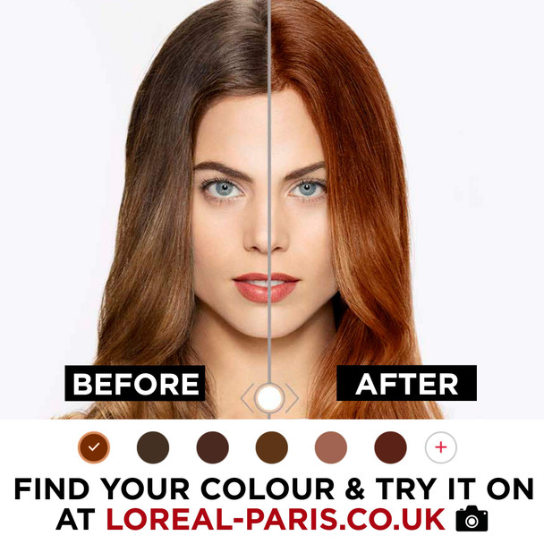 L'Oreal Paris Casting Crème Gloss Semi-Permanent Hair Dye Ammonia-Free Formula & Honey-Infused Conditioner Glossy Finish Colour For Up To 28 Shampoos Pack Of 3 Colour: 3102 Cool Dark Brown