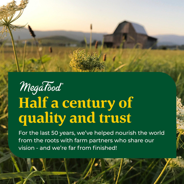 MegaFood Women'S One Daily Multivitamin For Women - With Iron B Complex Vitamin C Vitamin D Biotin And More - Plus Real Food - Immune Support Supplement - Bone Health - Vegetarian - 90 Tabs MegaFood Women'S One Daily Multivitamin For Women - With Iron B Complex Vitamin C Vitamin D Biotin And More - Plus Real Food - Immune Support Supplement - Bone Health - Vegetarian - 90 Tabs