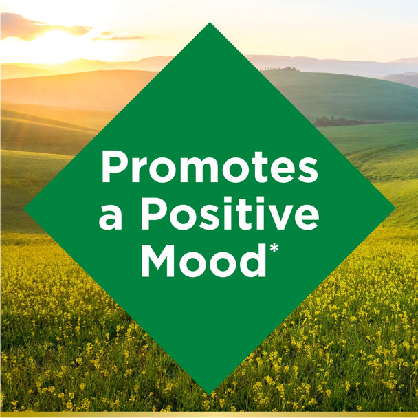 Nature's Bounty St. John’S Wort 300Mg Capsules Herbal Health Supplement Promotes A Positive Mood 100 Capsules