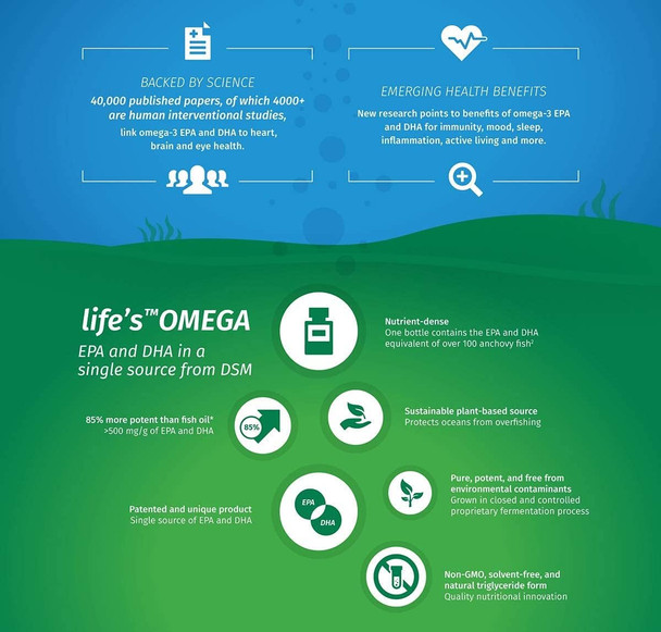 Vegan Omega 3 – Epa & Dha From Algae Oil – Premium Brand – Carrageenan- – Sustainable Algal Alternative To Fish Oil – Vegetarian Essential Fatty Acids – Uk Made Supplement (120 Count (Pack Of 1))