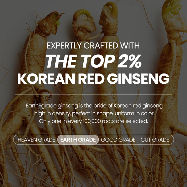 Jung Kwan Jang Korean Red Ginseng Extract Everytime 3000Mg | Sugar Free Energy Supplement Ginseng Tea Ginseng Supplement Korean Food | Energy Boost Stamina | 30 Count